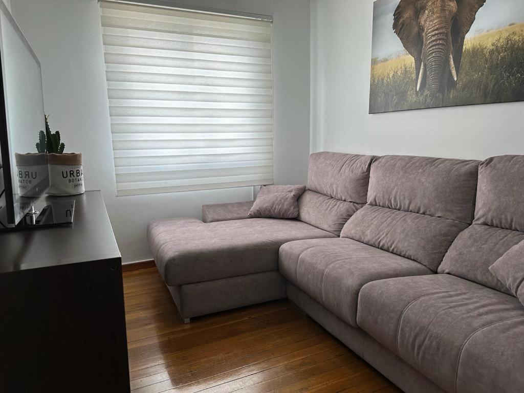 Apartment Ensino 22